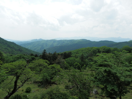 b0334084_07192826.jpg