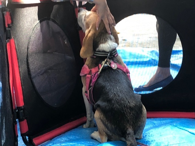 c0332184_13104975.jpeg