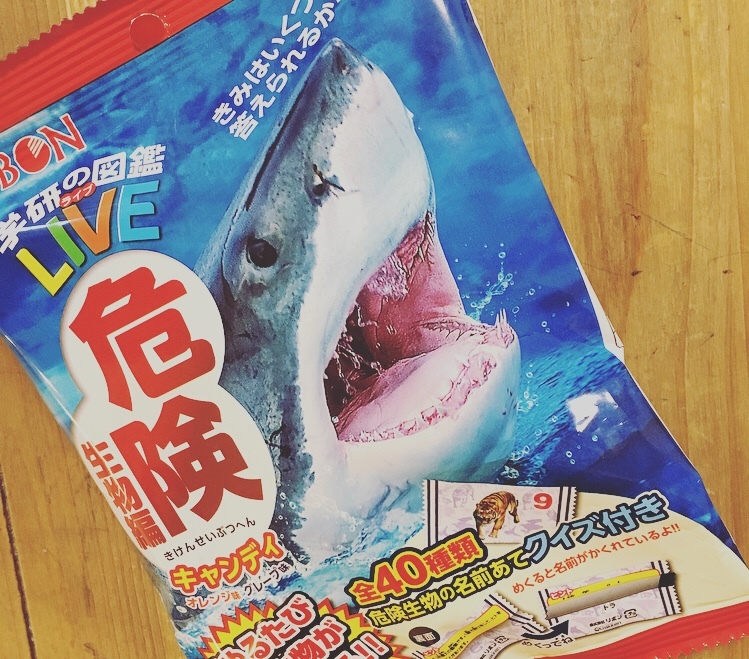 a0092285_16405148.jpeg