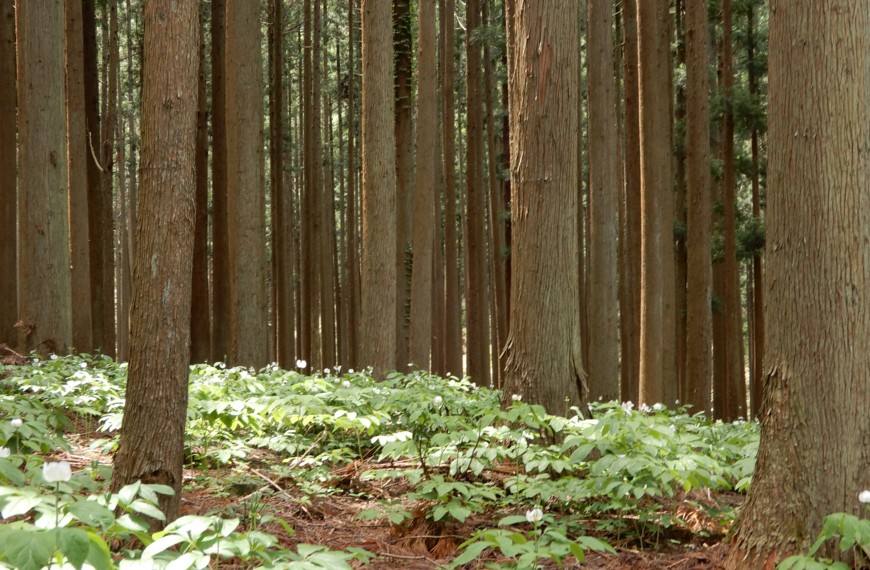 c0144185_10261328.jpg