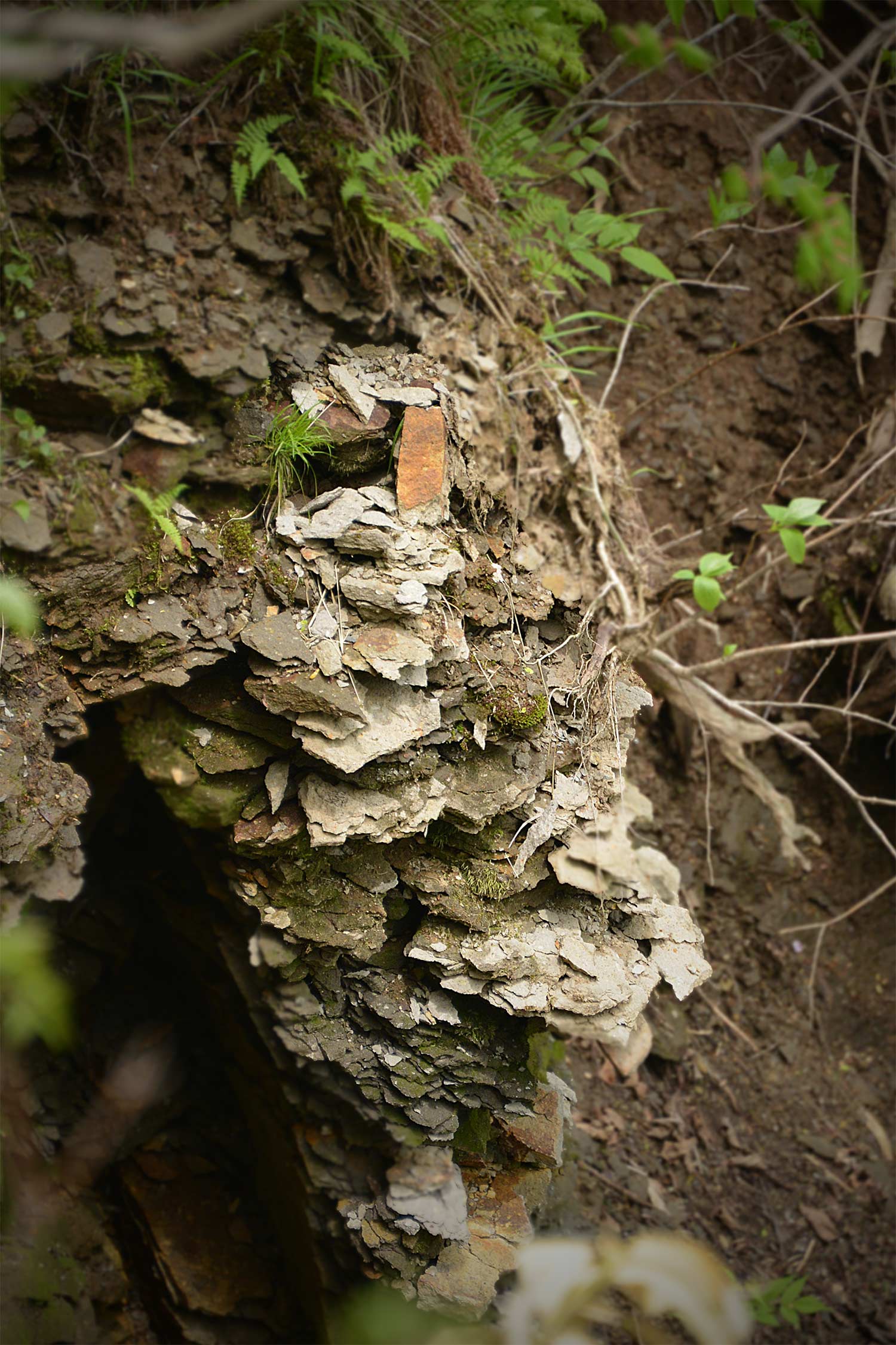 f0212586_9211686.jpg