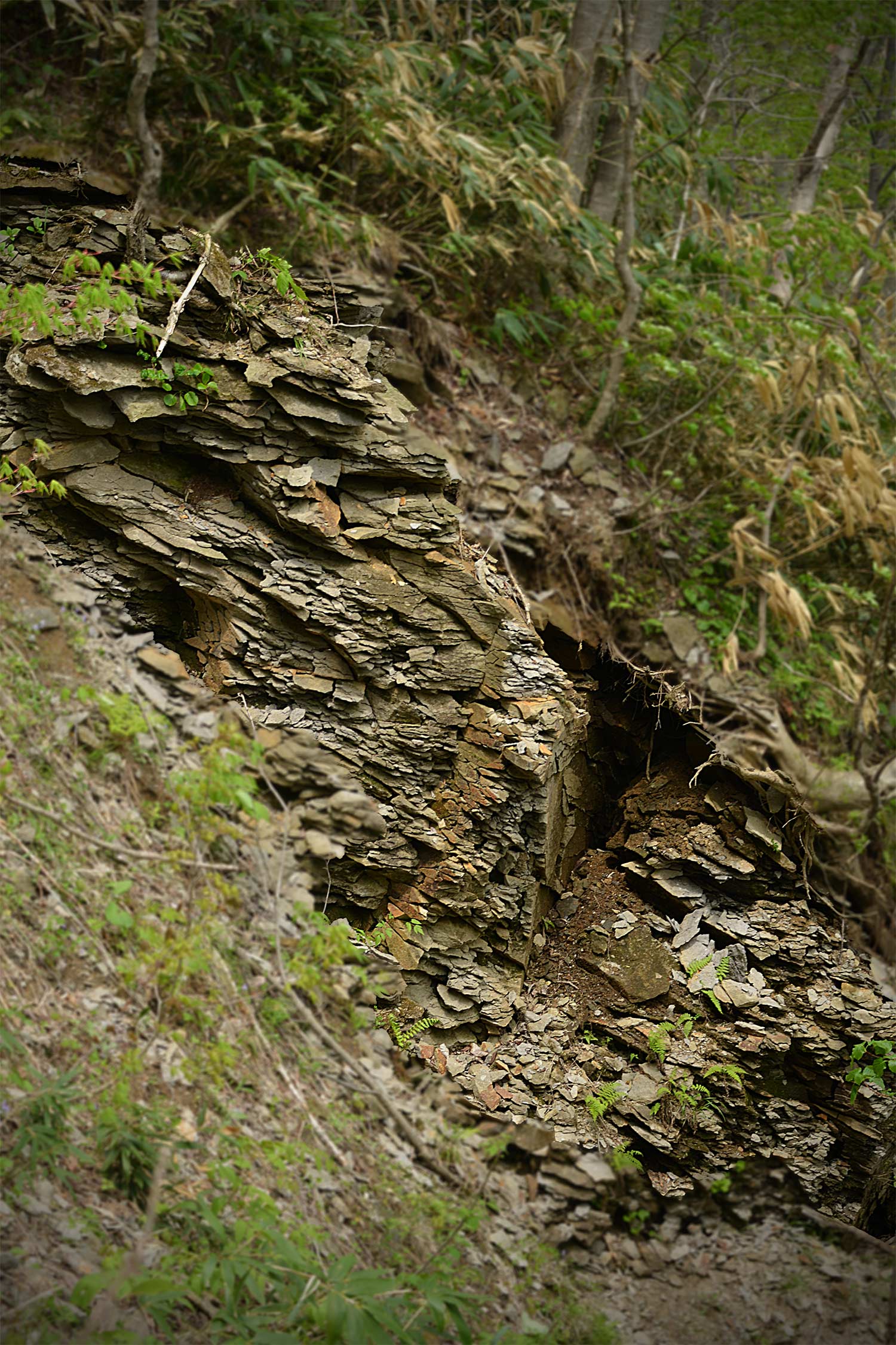 f0212586_921664.jpg