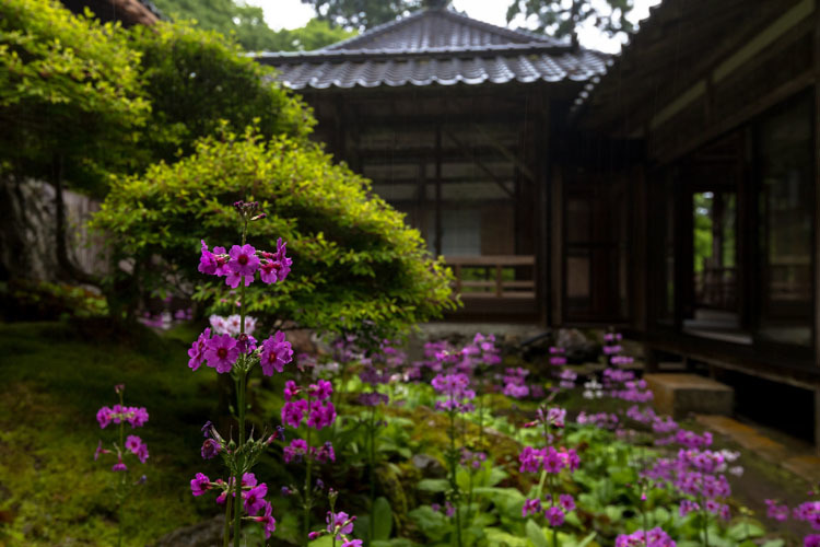 阿弥陀寺_e0051888_07022046.jpg
