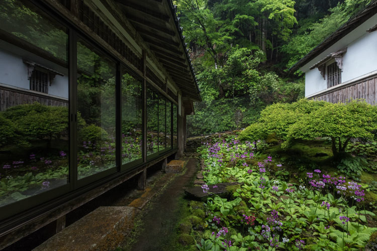 阿弥陀寺_e0051888_07043478.jpg