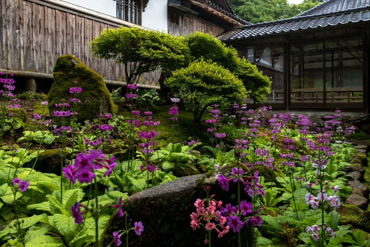阿弥陀寺_e0051888_07043482.jpg
