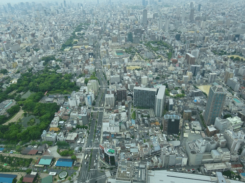 c0168990_17490547.gif