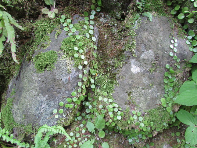 c0335990_07190418.jpg