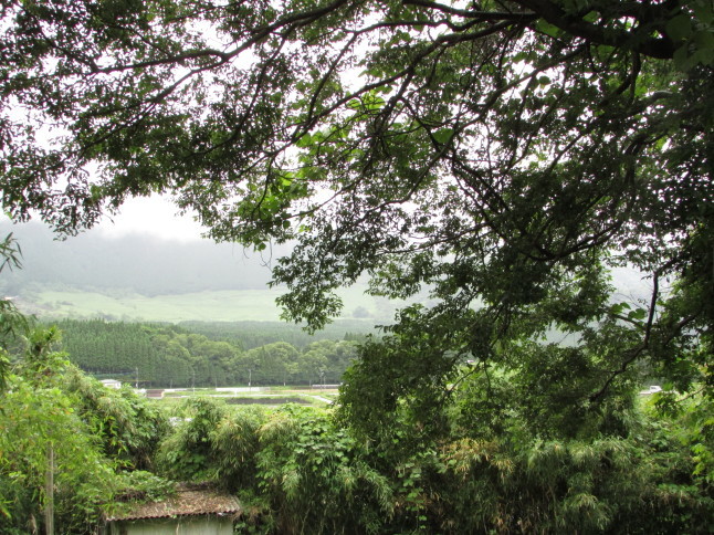 c0335990_07195282.jpg