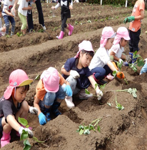 【南砂園】サツマイモ植え_a0267292_10420420.png