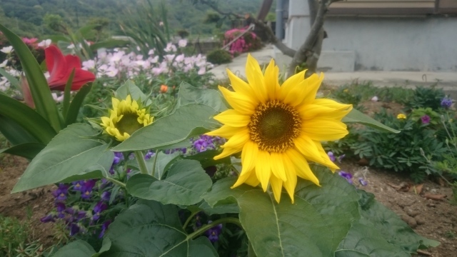 d0261593_09020166.jpg