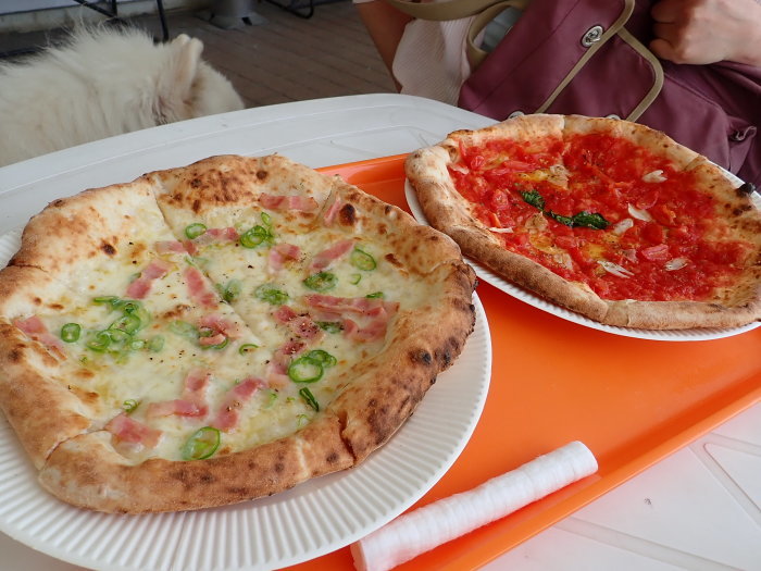 コキアパーク&一色の森キャンプ 1_a0049296_18521954.jpg
