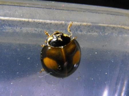 a0206496_07180046.jpg