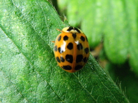 a0206496_11171321.jpg