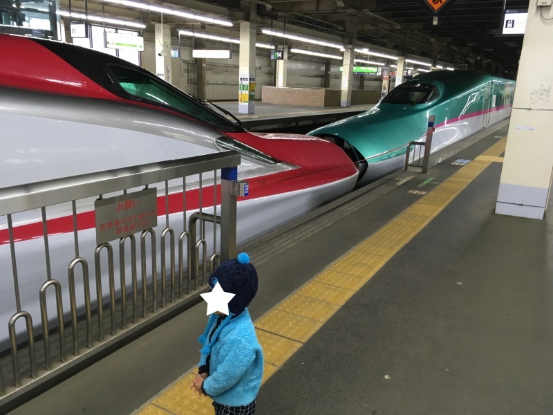 新幹線の連結を見るなら大宮駅がオススメ 久しぶりの元こまちe3系 子どもと暮らしと鉄道と