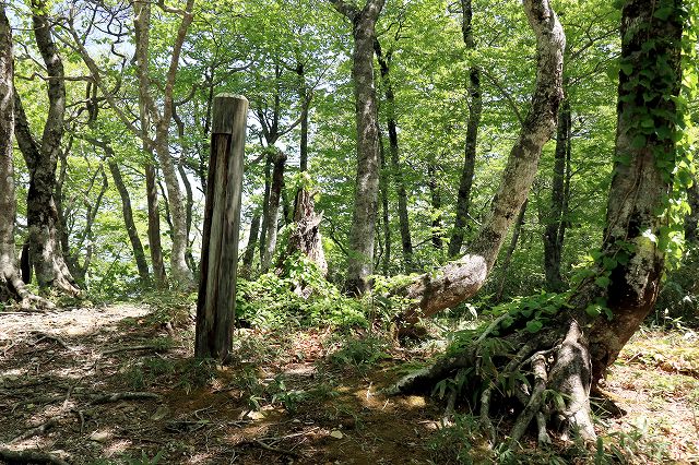 e0137200_10433174.jpg