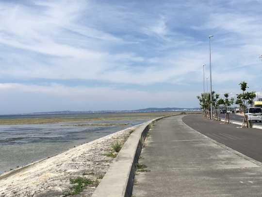 a0048101_14070481.jpeg