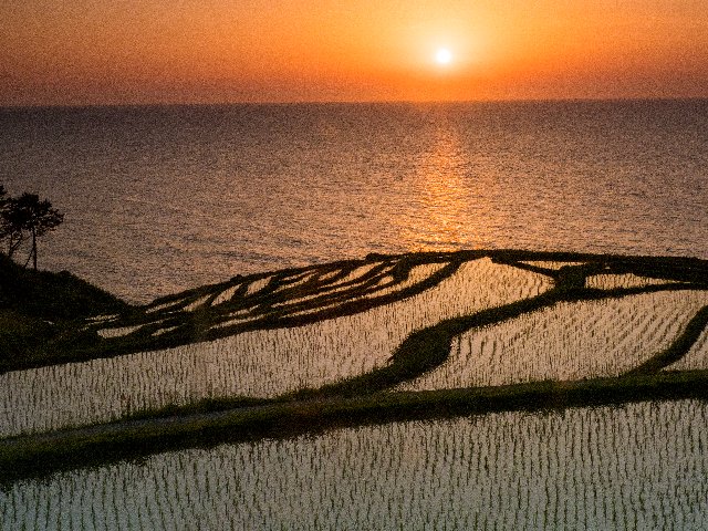 能登半島・白米千枚田を訪ねて～♪_c0008502_2013485.jpg