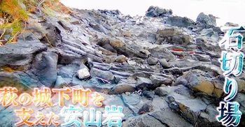 ブラタモリ#106 萩 ~萩はなぜ 世界遺産になった?~_b0044404_15101608.jpg