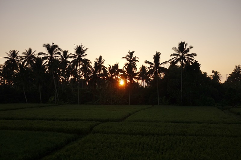 d0133704_16182289.jpg