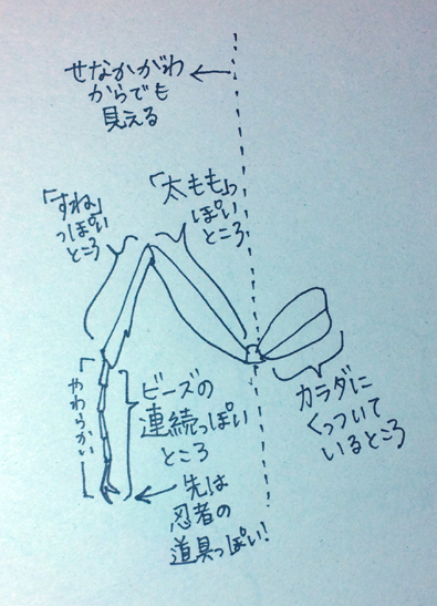 昆虫の描き方入門 造形 自然の教室 にじいろたまご