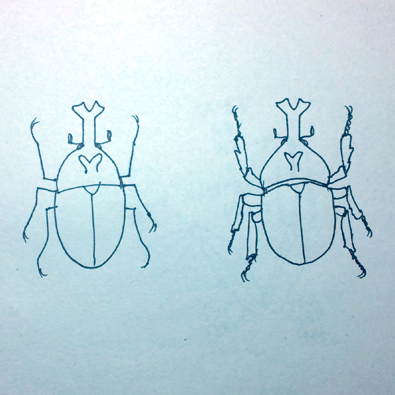 昆虫の描き方入門 造形 自然の教室 にじいろたまご