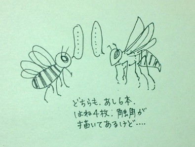 昆虫の描き方入門 造形 自然の教室 にじいろたまご