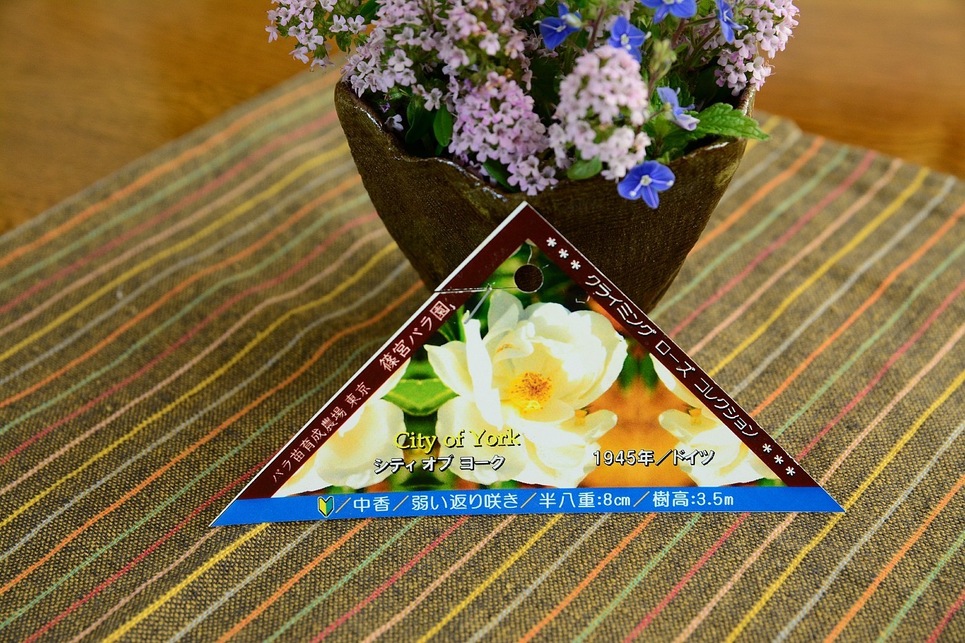 a0248508_15332586.jpg