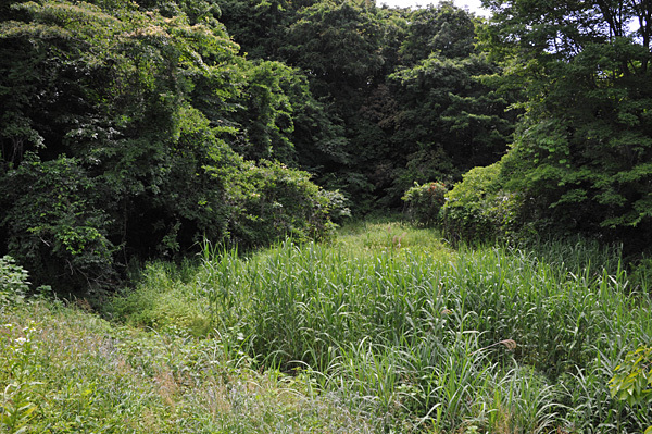 a0278809_10242263.jpg