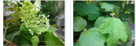 f0231709_15150551.gif