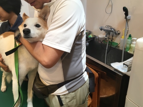 d0179410_00015287.jpeg