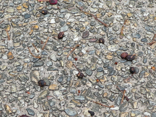 c0062511_21195240.jpg