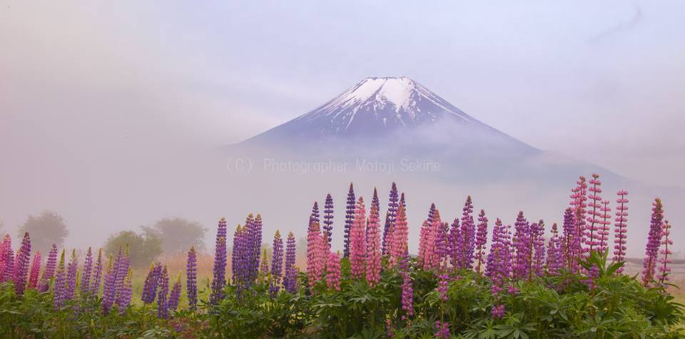 富士山上空で天体ショー_d0160611_19290115.jpg