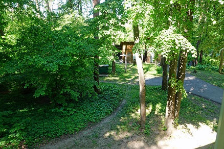 a0151913_8155920.jpg
