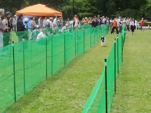 c0084117_19312340.jpg