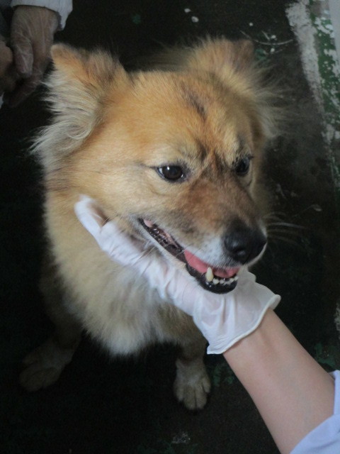 f0078320_23341116.jpg