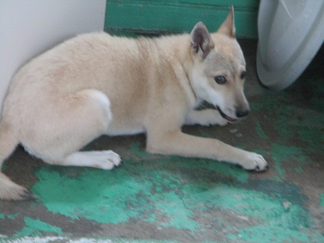 f0078320_23364011.jpg
