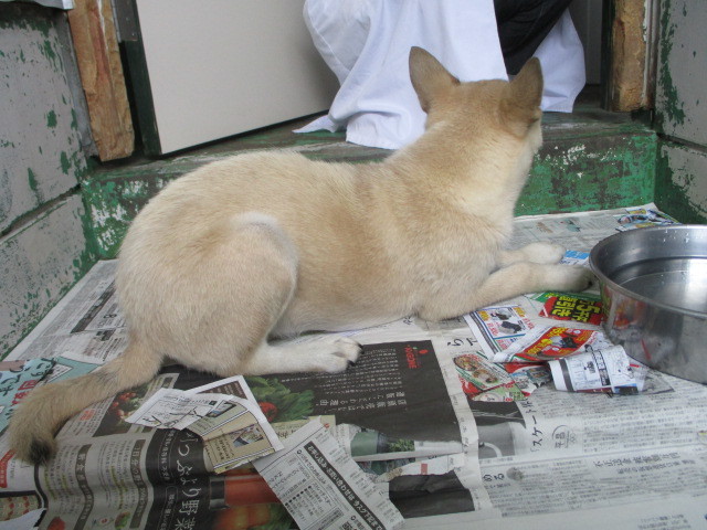 f0078320_23370872.jpg