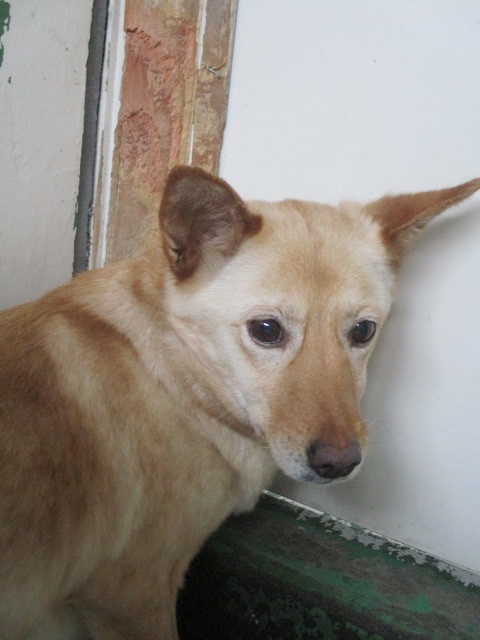 f0078320_23450327.jpg