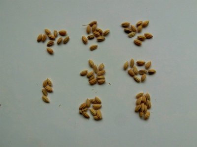 b0008825_11081133.jpg