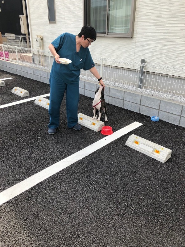 d0365027_15394241.jpeg