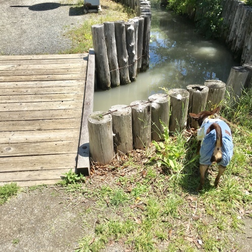 a0291132_16471950.jpeg