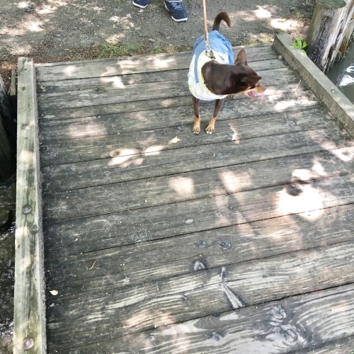 a0291132_16530619.jpeg