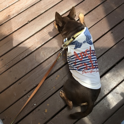 a0291132_16574300.jpeg