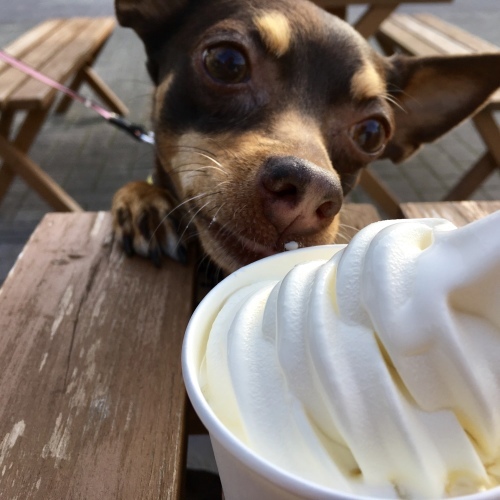 a0291132_17105151.jpeg