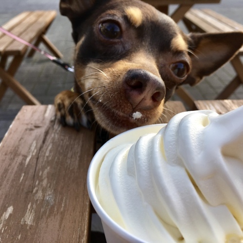a0291132_17111107.jpeg