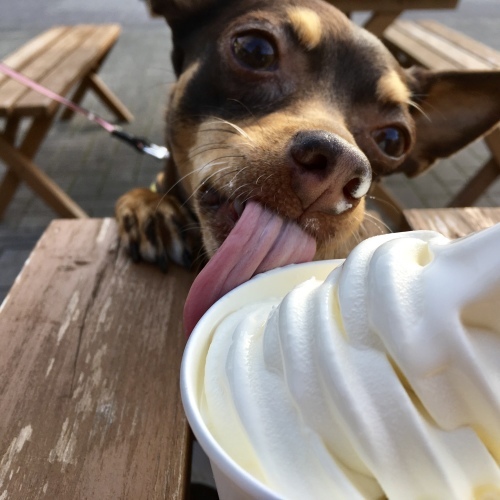 a0291132_17114967.jpeg