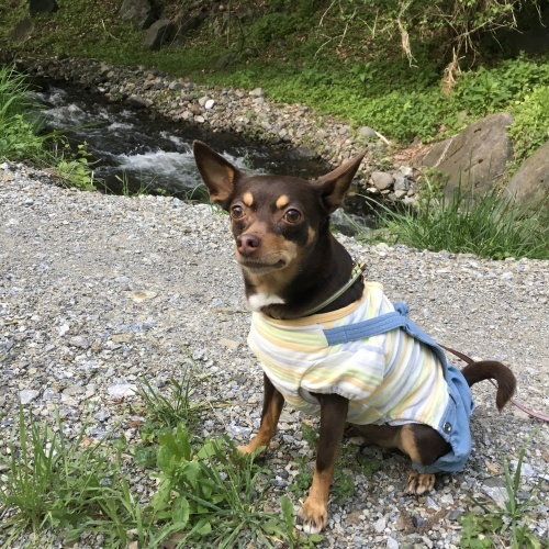 a0291132_17120742.jpeg