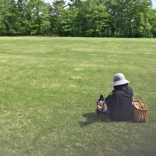 a0291132_21015798.jpeg
