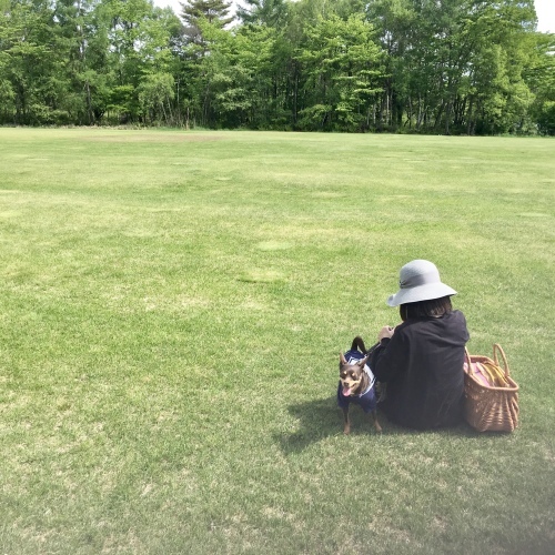 a0291132_21021368.jpeg