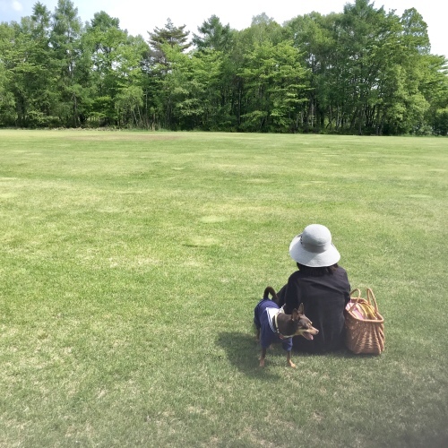 a0291132_21022333.jpeg